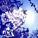 cover: Ardz|Cro Magnon|Ginch|Ike Dusk|Michael Lambart - Ace Of Music Summer Sampler