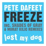 cover: Pete Dafeet - Freeze