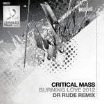 cover: Critical Mass - Burning Love 2012