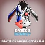 cover: Various - Ibiza Techno & House Sampler 2012