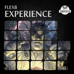 cover: Flexb - Experience