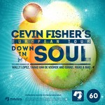 cover: Cevin Fisher - Down In My Soul