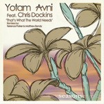 cover: Anvi, Yotam|Chris Dockins - That's What The World Needs