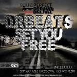 cover: Dr Beats - Set You Free