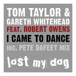 cover: Taylor, Tom|Gareth Whitehead|Robert Owens - I Came To Dance