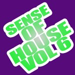 cover: Various - Sense Of House Vol 6