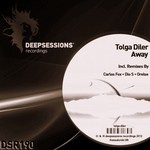 cover: Tolga Diler - Away