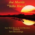 cover: Joe Morris - Yello Haze