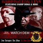 cover: Levy, Barrington|Mims|Snoop Dogg - Murderer ReMix  2011