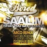 cover: Saalim - What You Say Remixes