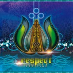 cover: Various - Respect Festival