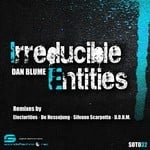 cover: Dan Blume - Irreducible Entities