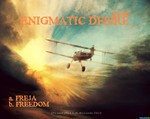 cover: Enigmatic Desire - Freja