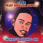 cover: &268|Melusi Super - What's Going On (remixes)