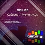 cover: Dellife - Cattleya/Prometheus