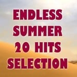 cover: Various - Endless Summer 20 Hits Selection