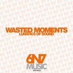 cover: Lunatics Of Sound - Wasted Moments