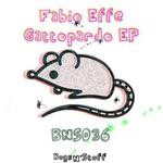 cover: Fabio Effe - Gattopardo