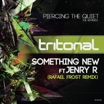 cover: Jenry R|Tritonal - Something New