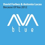 cover: Antonia Lucas|Forbes, David - Because Of You 2012