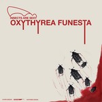 cover: Insects Are Sexy - Oxythyrea Funesta