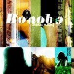 cover: Bonobo - Terrapin