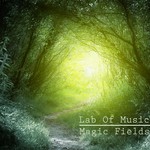 cover: Lab Of Music - Magic Fields