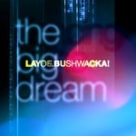 cover: Layo & Bushwacka - The Big Dream