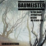 cover: Baumeister - Baumeister