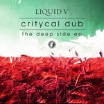 cover: Critycal Dub - The Deep Side