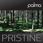 cover: Palma - Pristine