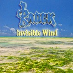 cover: Radek - Invisible Wind