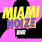 cover: Various - Miami Noize 2011