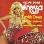 cover: Nils Van Zandt - Upside Down