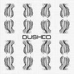 cover: Shaker Headz - Bushed