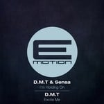 cover: Dmt|Sensa - I'm Holding On