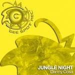 cover: Danny Cosa - Jungle Night