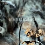 cover: Alexander Anufriev - Never Forget You