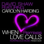 cover: Carolyn Harding|Shaw, David - When Love Calls (remixes)