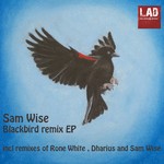 cover: Sam Wise - Balckbird Remixes EP