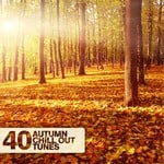 cover: Various - 40 Autumn Chill Out Tunes