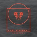 cover: Various - Phat Elephant presents