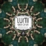 cover: Lumi - Taste Of Life (remixes)