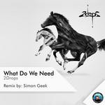 cover: 2drops - What Do We Need