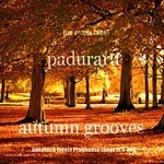 cover: Various - Autumn Grooves (Deeptech Meets Proghouse Tunes In A Key)