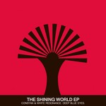 cover: Constan|White Resonance - The Shining World EP