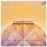 cover: Krzysztof Palicki - Waiting For The Sunset