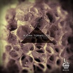 cover: Bjoern Torwellen - Shapeshifter (The remixes)