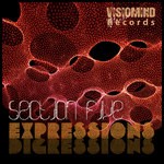 cover: Section Five - Expressions