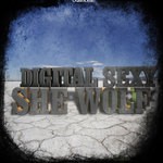 cover: Digital Sexy - She Wolf: Falling To Pieces (remixes)